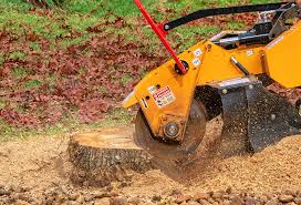 Best Lawn Irrigation Installation and Maintenance  in Natalia, TX